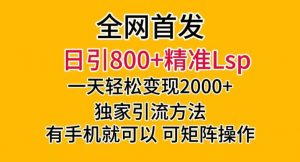全网首发！日引800+精准老色批，一天变现2000+，独家引流方法，可矩阵操作【揭秘】-无痕资源库