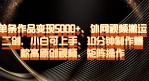 单条作品变现5000+、外网视频搬运二创，小白可上手，10分钟制作爆款高原创视频，矩阵操作【揭秘】-无痕资源库