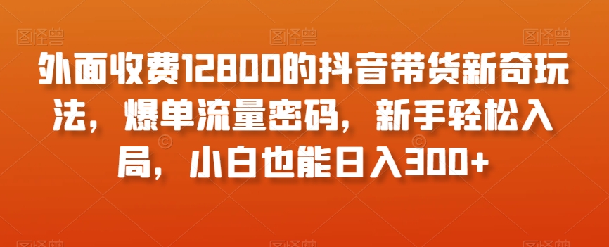 外面收费12800的抖音带货新奇玩法，爆单流量密码，新手轻松入局，小白也能日入300+【揭秘】-无痕资源库