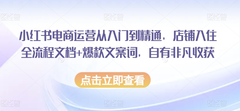 小红书电商运营从入门到精通,店铺入住全流程文档+爆款文案词,自有非凡收获-无痕资源库