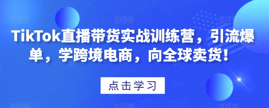 TikTok直播带货实战训练营,引流爆单,学跨境电商,向全球卖货!-无痕资源库