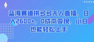 蓝海赛道拼多多无人直播，日入2600+，0成本变现，小白也能轻松上手【揭秘】-无痕资源库