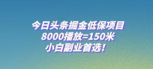 今日头条掘金低保项目，8000播放=150米，小白副业首选【揭秘】-无痕资源库