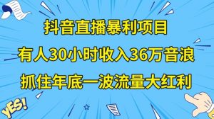 抖音直播暴利项目，有人30小时收入36万音浪，公司宣传片年会视频制作，抓住年底一波流量大红利【揭秘】-无痕资源库