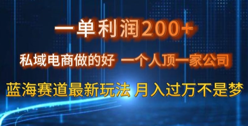 一单利润200私域电商做的好，一个人顶一家公司蓝海赛道最新玩法【揭秘】-无痕资源库