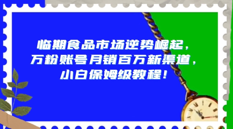临期食品市场逆势崛起，万粉账号月销百万新渠道，小白保姆级教程【揭秘】-无痕资源库
