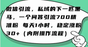 怎么搞精准创业粉?微信新赛道,每天一小时,利用Ai一个问答日引100精准粉-无痕资源库