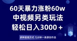 60天暴力涨粉60W，中视频另类玩法，日入3000＋，几分钟一条原创作品多种变现方式-无痕资源库