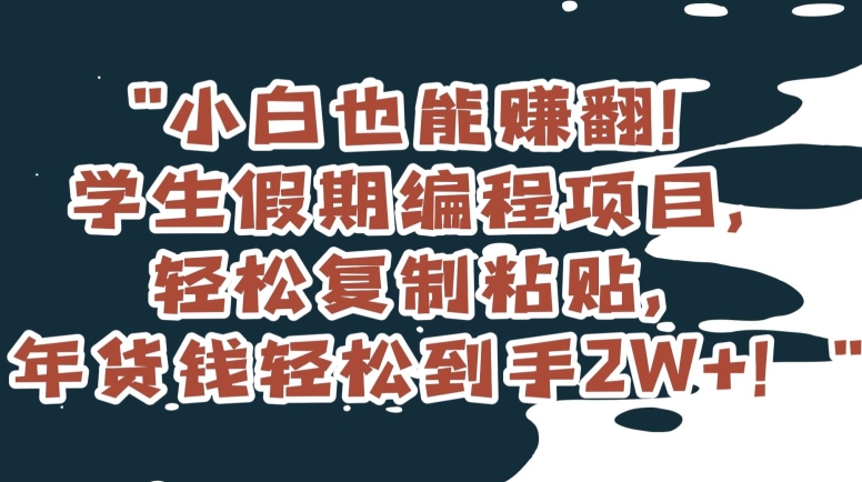 小白也能赚翻！学生假期编程项目，轻松复制粘贴，年货钱轻松到手2W+【揭秘】-无痕资源库
