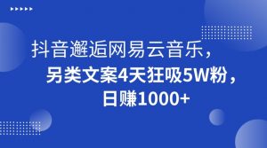 抖音邂逅网易云音乐，另类文案4天狂吸5W粉，日赚1000+【揭秘】-无痕资源库