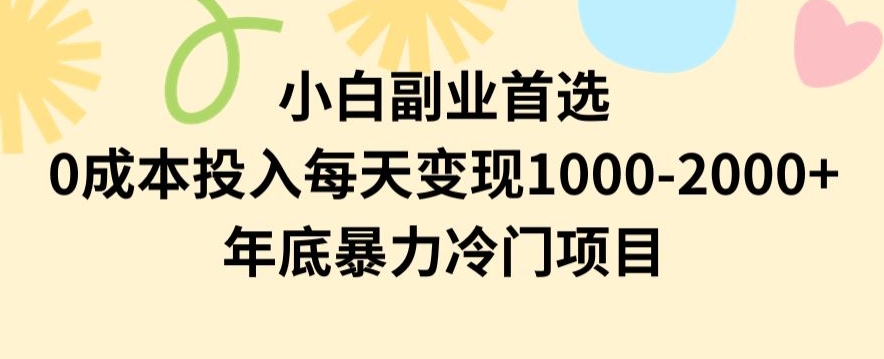 小白副业首选，0成本投入，每天变现1000-2000年底暴力冷门项目【揭秘】-无痕资源库