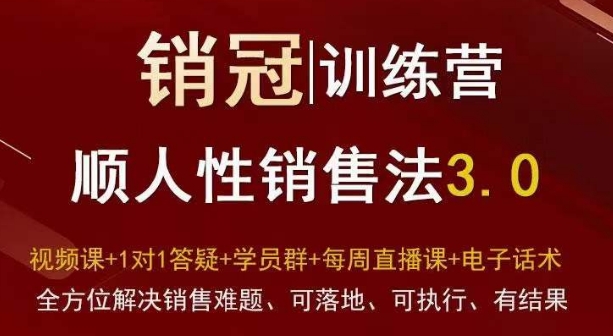 爆款!销冠训练营3.0之顺人性销售法,全方位解决销售难题、可落地、可执行、有结果-无痕资源库