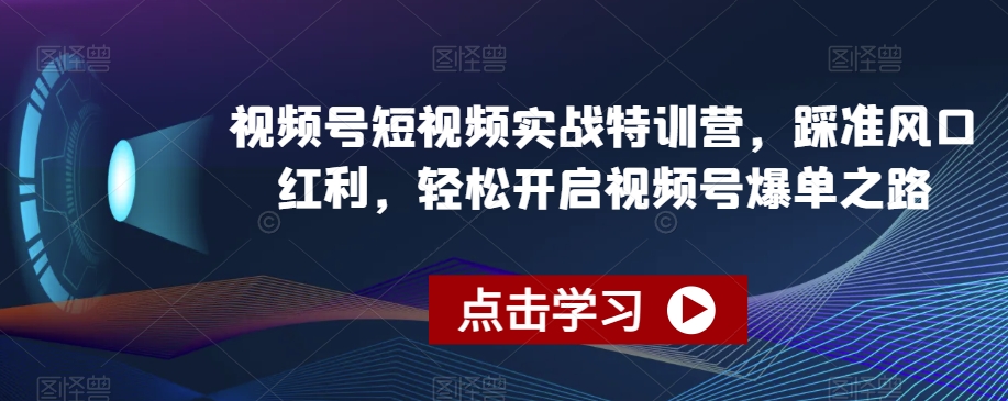 视频号短视频实战特训营，踩准风口红利，轻松开启视频号爆单之路-无痕资源库