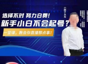 大左教您从0到1做直播带货，选择不对，努力白费，5小时课程搞定那点事，解决你起号问题-无痕资源库
