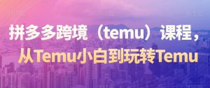 拼多多跨境（temu）课程，从Temu小白到玩转Temu-无痕资源库
