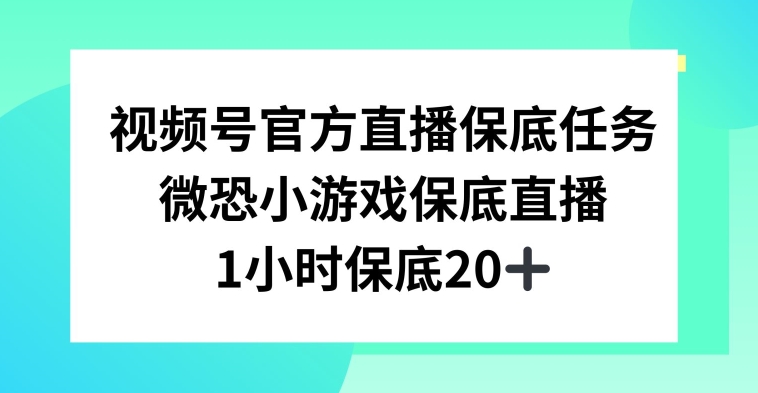 视频号直播任务，微恐小游戏，1小时20+【揭秘】-无痕资源库