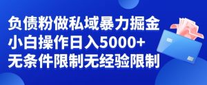 负债粉私域暴力掘金，小白操作入5000，无经验限制，无条件限制【揭秘】-无痕资源库