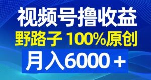视频号野路子撸收益，100%原创，条条爆款，月入6000＋【揭秘】-无痕资源库