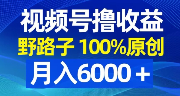 视频号野路子撸收益，100%原创，条条爆款，月入6000＋【揭秘】-无痕资源库