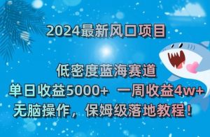 2024最新风口项目，低密度蓝海赛道，单日收益5000+，一周收益4w+！【揭秘】-无痕资源库