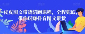 皮皮图文带货陪跑课程，全程兜底，带你玩赚抖音图文带货-无痕资源库