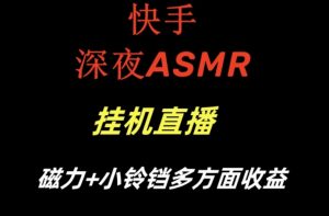 快手深夜ASMR挂机直播，磁力+小铃铛收益（附带工具和5G素材）【揭秘】-无痕资源库