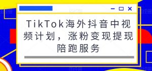 TikTok海外抖音中视频计划，涨粉变现提现陪跑服务-无痕资源库