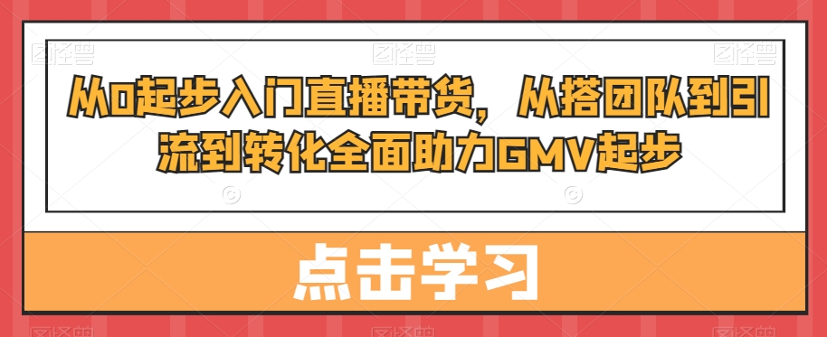 从0起步入门直播带货，​从搭团队到引流到转化全面助力GMV起步-无痕资源库