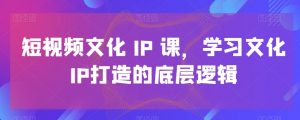 短视频文化IP课,学习文化IP打造的底层逻辑-无痕资源库