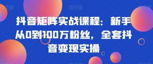 抖音矩阵实战课程:新手从0到100万粉丝,全套抖音变现实操-无痕资源库