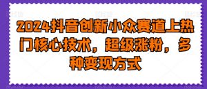 2024抖音创新小众赛道上热门核心技术，超级涨粉，多种变现方式【揭秘】-无痕资源库