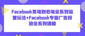 Facebook菜鸟到老鸟全系列运营玩法+Facebook专业广告投放全系列课程-无痕资源库