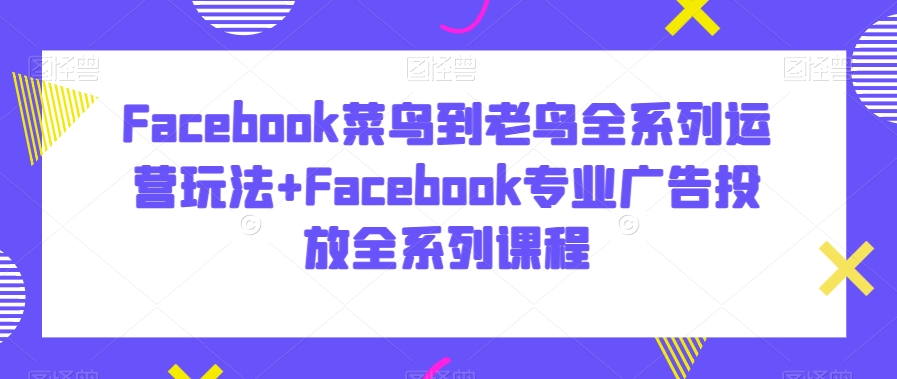 Facebook菜鸟到老鸟全系列运营玩法+Facebook专业广告投放全系列课程-无痕资源库