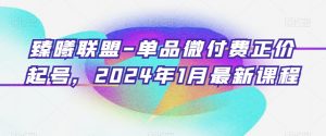 臻曦联盟-单品微付费正价起号,2024年1月最新课程-无痕资源库