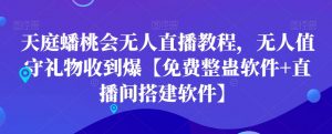 天庭蟠桃会无人直播教程，无人值守礼物收到爆【免费整蛊软件+直播间搭建软件】-无痕资源库
