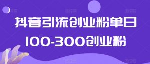 抖音引流创业粉单日100-300创业粉【揭秘】-无痕资源库