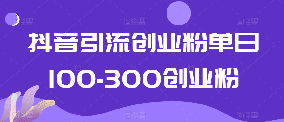 抖音引流创业粉单日100-300创业粉【揭秘】-无痕资源库