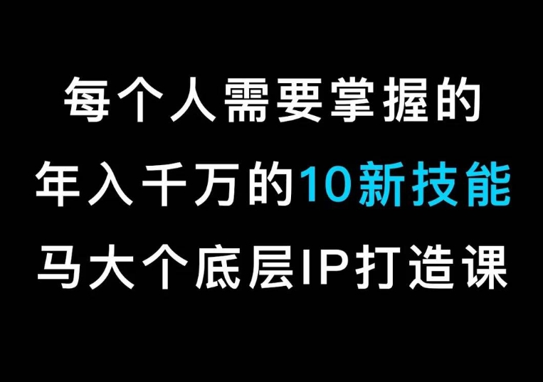 马大个的IP底层逻辑课，​每个人需要掌握的年入千万的10新技能，约会底层IP打造方法！-无痕资源库