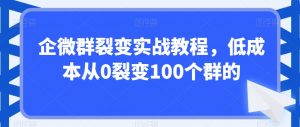 企微群裂变实战教程,低成本从0裂变100个群的-无痕资源库