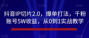 抖音IP切片2.0，爆单打法，千粉账号5W收益，从0到1实战教学【揭秘】-无痕资源库