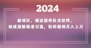2024新项目，通过国外社交软件，快速涨粉精准引流，轻松做到月入上万【揭秘】-无痕资源库