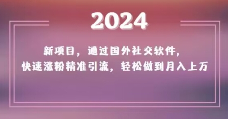 2024新项目，通过国外社交软件，快速涨粉精准引流，轻松做到月入上万【揭秘】-无痕资源库
