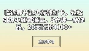 临近春节超火存钱打卡，轻松引爆小红薯流量，3分钟一条作品，20天涨粉4000+【揭秘】-无痕资源库