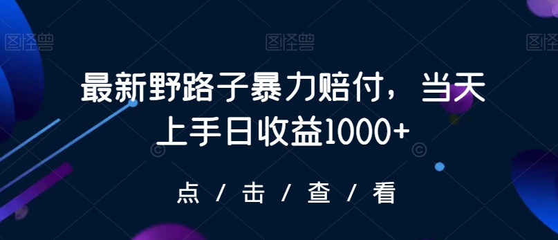 最新野路子暴力赔付，当天上手日收益1000+【仅揭秘】-无痕资源库