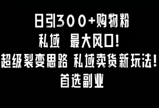 日引300+购物粉，超级裂变思路，私域卖货新玩法，小红书首选副业【揭秘】-无痕资源库
