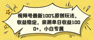 视频号最新100%原创玩法，收益稳定，亲测单日收益1000+，小白专属【揭秘】-无痕资源库