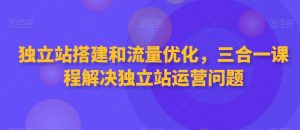 独立站搭建和流量优化，三合一课程解决独立站运营问题-无痕资源库