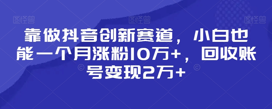 靠做抖音创新赛道，小白也能一个月涨粉10万+，回收账号变现2万+【揭秘】-无痕资源库