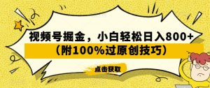 视频号掘金，小白轻松日入800+（附100%过原创技巧）【揭秘】-无痕资源库