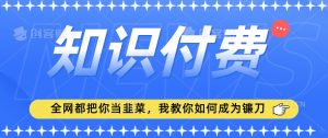 2024最新知识付费项目，小白也能轻松入局，全网都在教你做项目，我教你做镰刀【揭秘】-无痕资源库